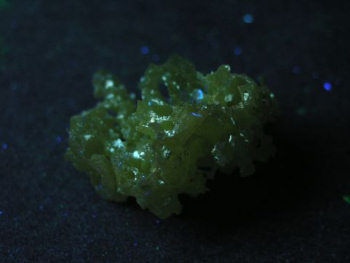 Sulfur subtly shines forest green (sorry, out of S-words) under 254 nm UV light.